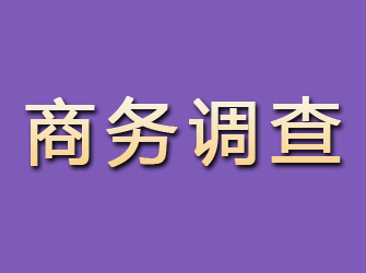 邯郸商务调查